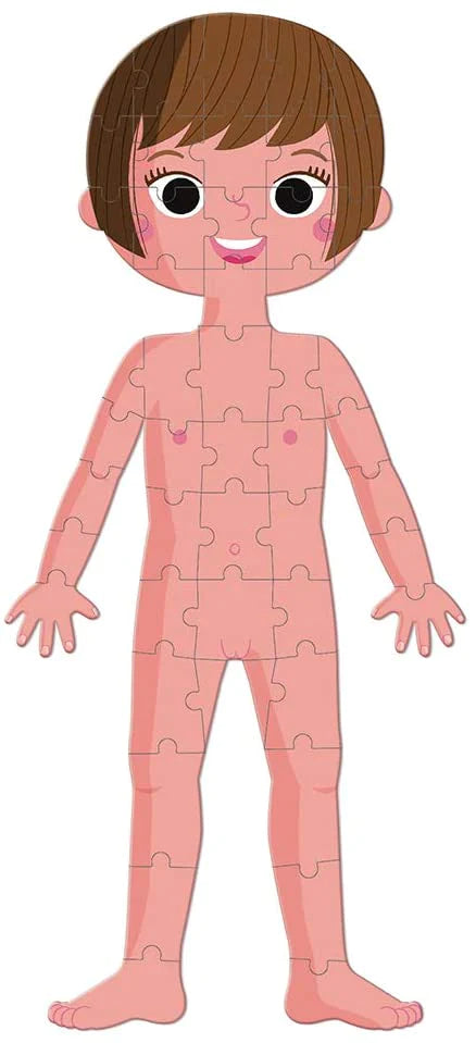 Cuerpo Humano 4 en 1 Rompecabezas Brain Work Panama